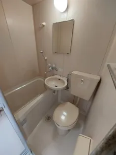 ビッグリバー中宮【2階】の風呂