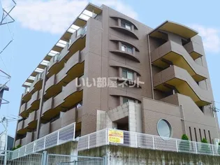 ロベリアの画像