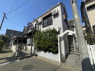 マメケイジュの画像