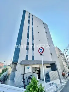 プラムコートの画像