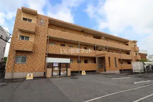 T フェアリートキワの画像