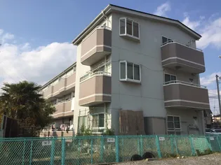 MAISON DE MINUMAの画像