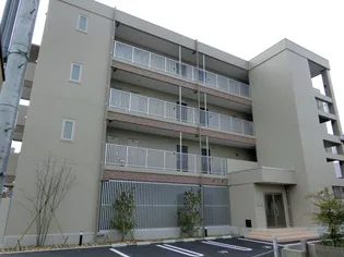 シャルマンDの画像