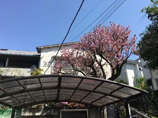 ブルーム菊名の画像