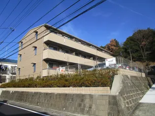 セジュールラフィネの画像