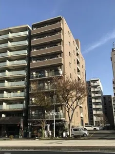 サザンクロスの画像