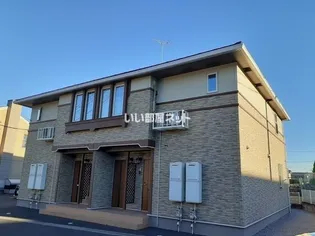 シェモアAの画像