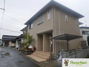 セイス藤貴の画像