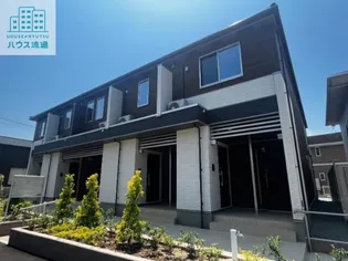 スカイ フラワーの画像