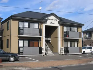 アムールカーサBの画像