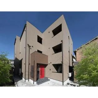 ラクーンノリタケの画像