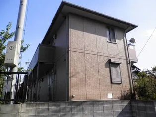 カメリアの画像