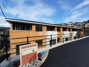 オレンジフィールドの画像