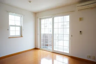 アムールDの画像