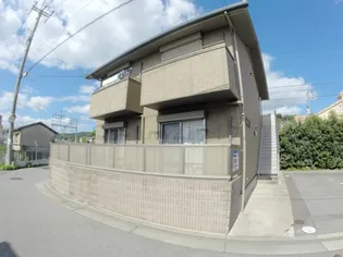 ミリカ ルブラ2の画像