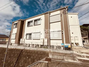 レバンテ白百合の画像