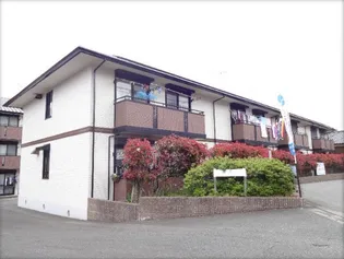 シャルムⅣの画像