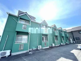 シャルムTの画像