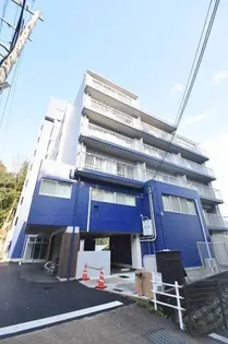 エムズレアオオマチの画像