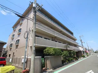 ソシア7の画像