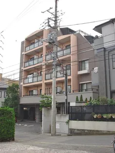 COZY COURT綱島の画像