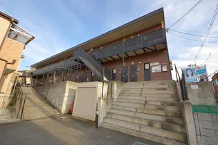 アンプルールフラーリッシュIの画像