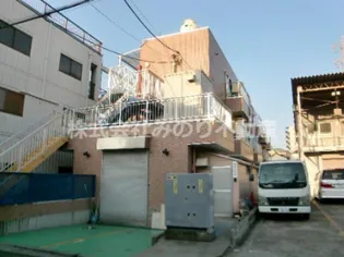 パフィオMSの画像