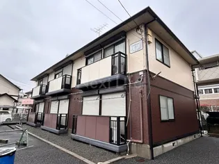 セレブレイトの画像