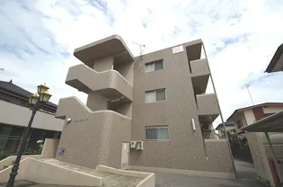 Y&Mカミューの画像