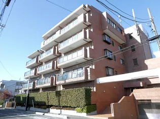 ヴィルゾンたまきの画像