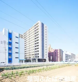 エンクレスト博多駅南SHARE【11階】の外観