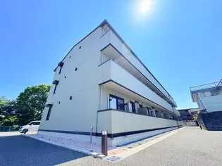 マッセル大在の画像