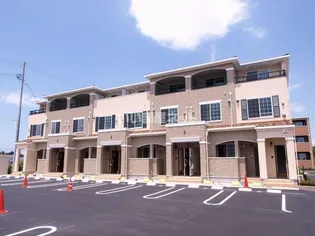 サングリーンBの画像