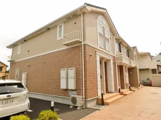 サニー エム エの画像