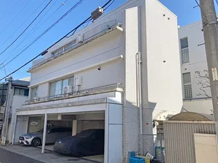 テラスキキョウの画像