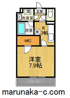 ミルフィーユ・ワイ【1階】の間取り