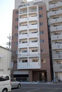 ロータスエイトの画像