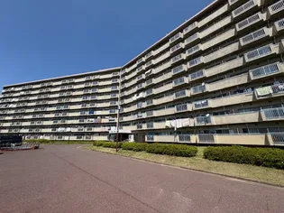 向陽台サニーハイツ【8階】の外観