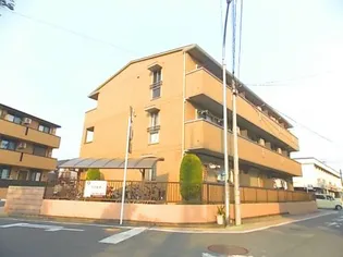 アルト ポンテの画像