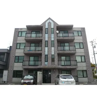 ルピナス Tコートの画像