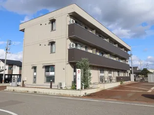 新潟県長岡市喜多町【アパート】の外観