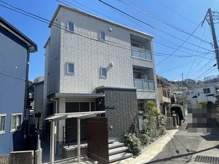 シャローテイルの画像