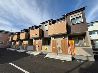 サン サンスプリングの画像