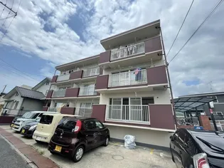 リーフルの画像