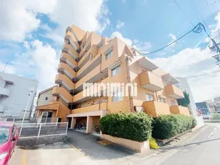 アイリス藤里の画像