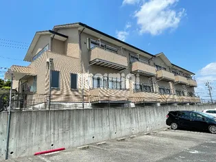 リップルNの画像