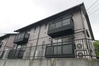 コンフォールM1の画像