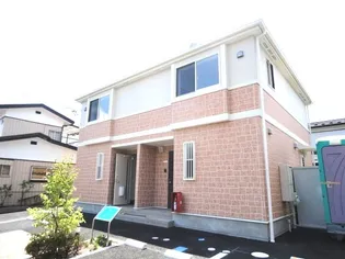 サンセベリアIIの画像