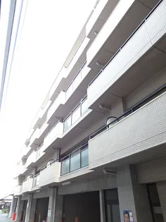 ステックスストゥリームエクセレントの画像