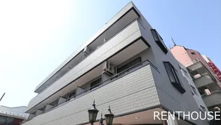 クリサンテーモの画像